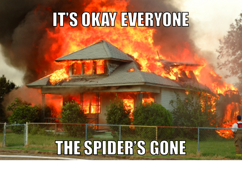down burning fire burn kill spiders meme memes burns rid california sets likes america